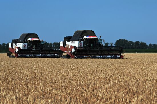 Russia Agriculture Wheat Harvesting