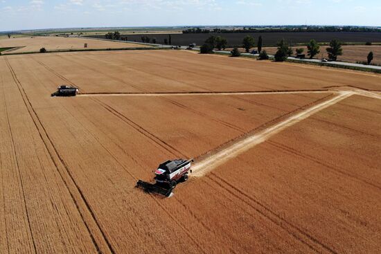 Russia Agriculture Wheat Harvesting