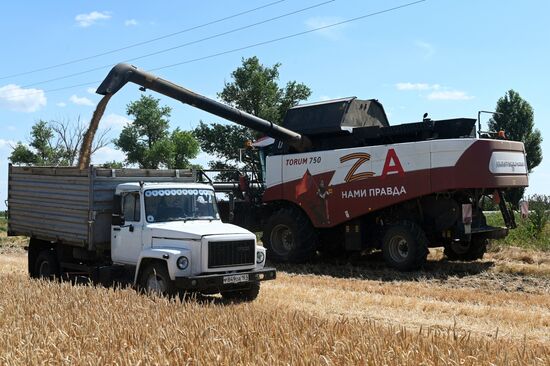 Russia Agriculture Wheat Harvesting