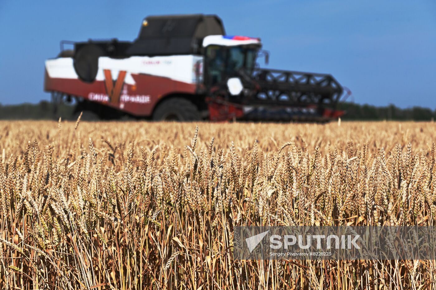 Russia Agriculture Wheat Harvesting