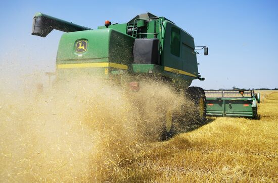 Ukraine Agriculture Wheat Harvesting