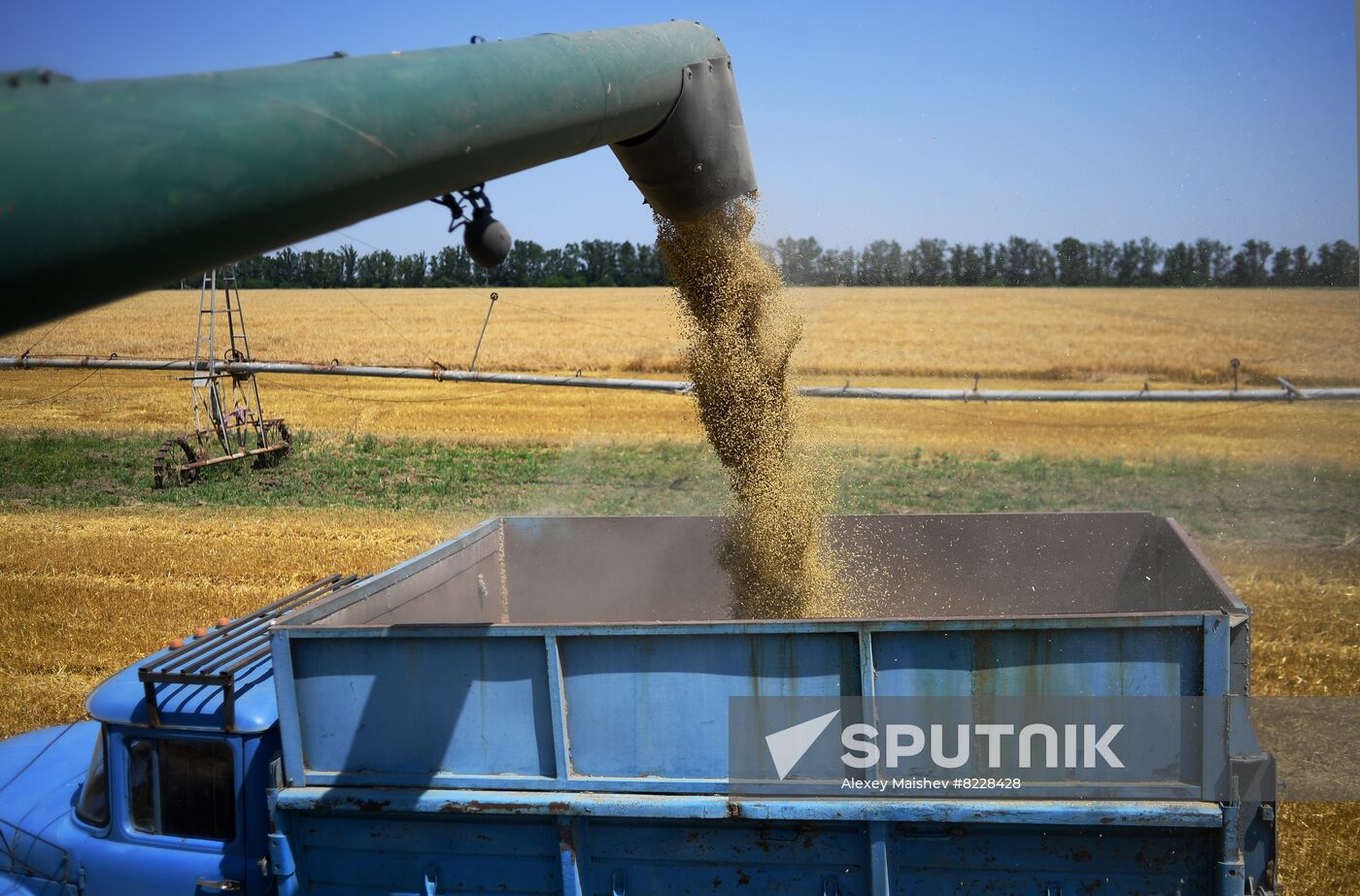 Ukraine Agriculture Wheat Harvesting