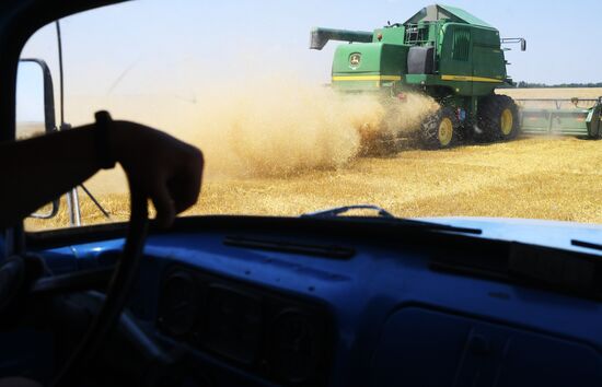 Ukraine Agriculture Wheat Harvesting