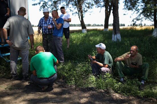Russia Agriculture Wheat Harvesting