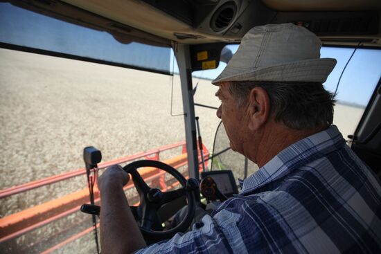 Russia Agriculture Wheat Harvesting