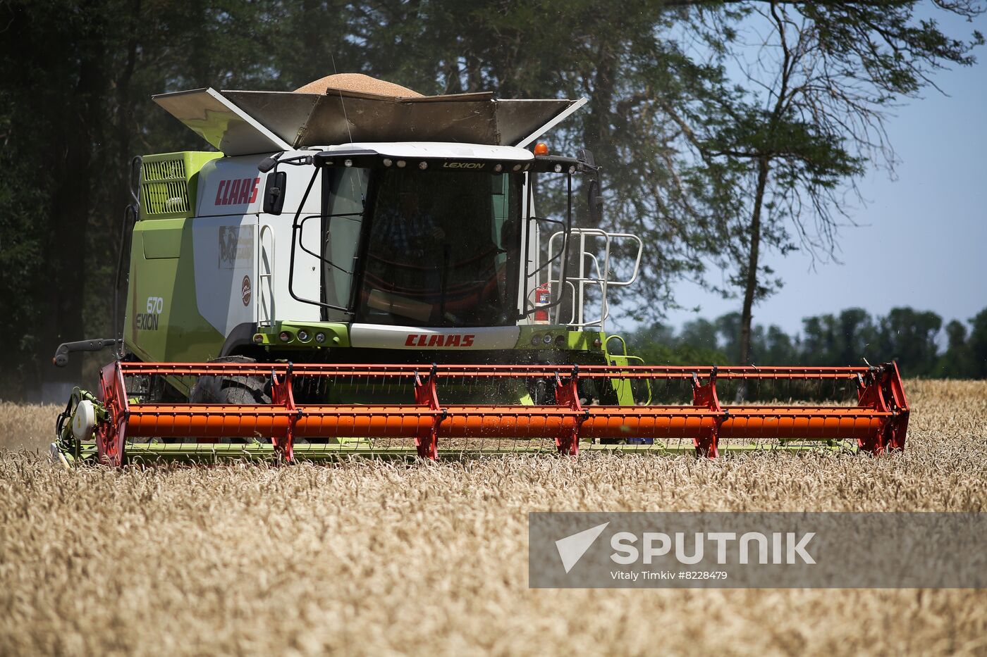 Russia Agriculture Wheat Harvesting