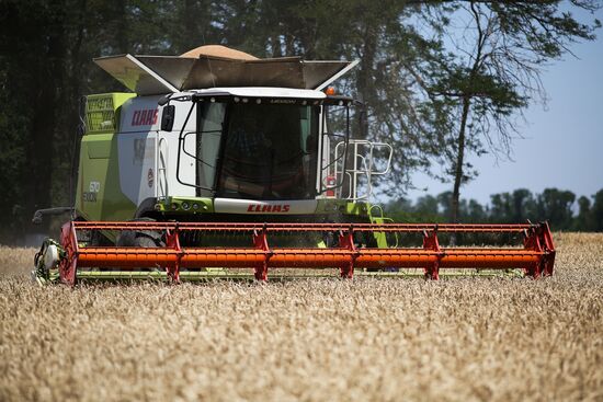 Russia Agriculture Wheat Harvesting
