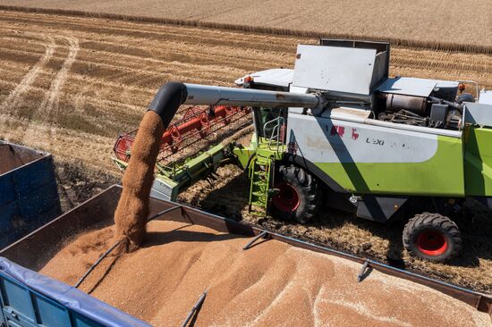 Russia Agriculture Wheat Harvesting