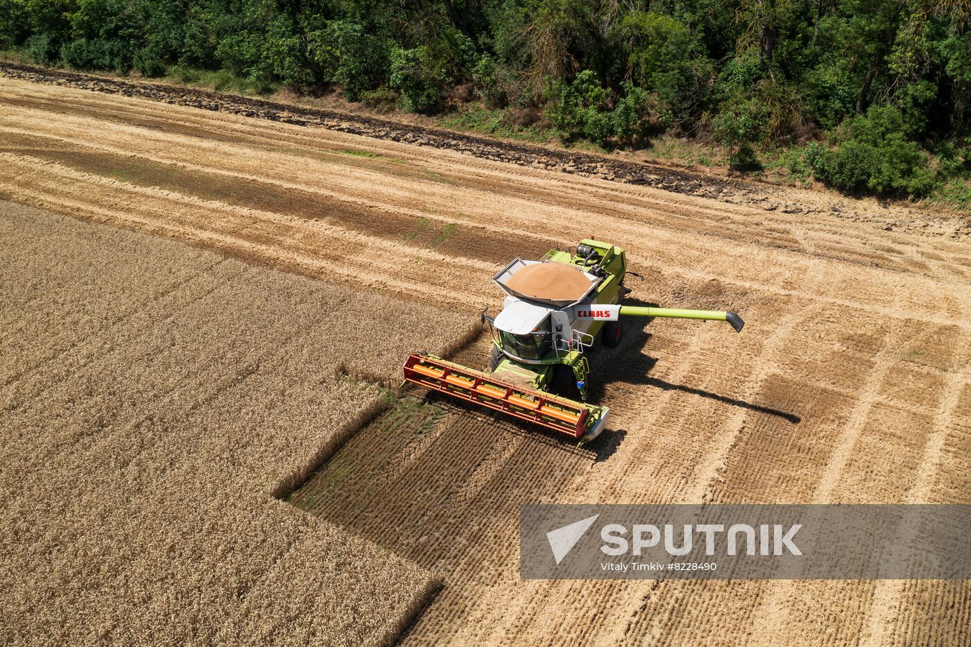 Russia Agriculture Wheat Harvesting