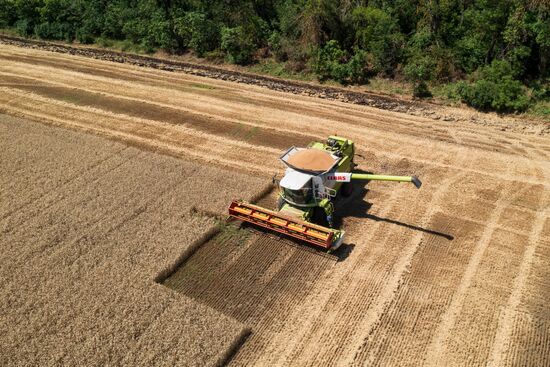 Russia Agriculture Wheat Harvesting