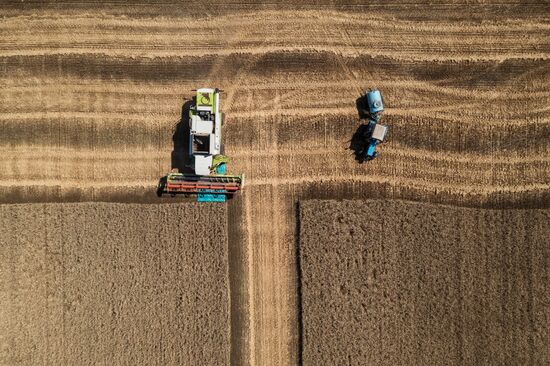 Russia Agriculture Wheat Harvesting