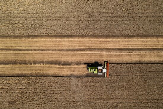Russia Agriculture Wheat Harvesting