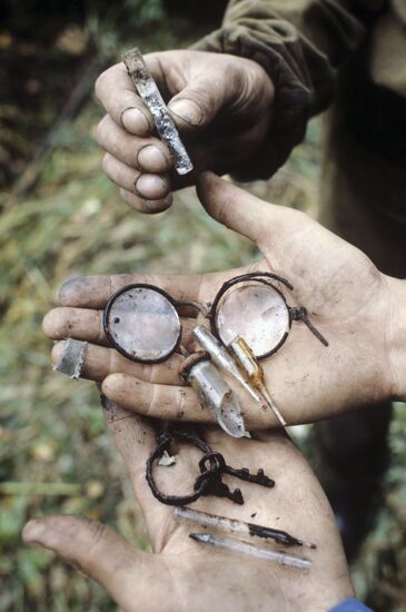 Search expedition in Myasnoi Bor village