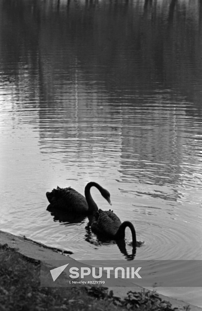 Chistye Ponds in Moscow