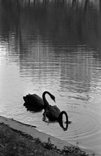 Chistye Ponds in Moscow