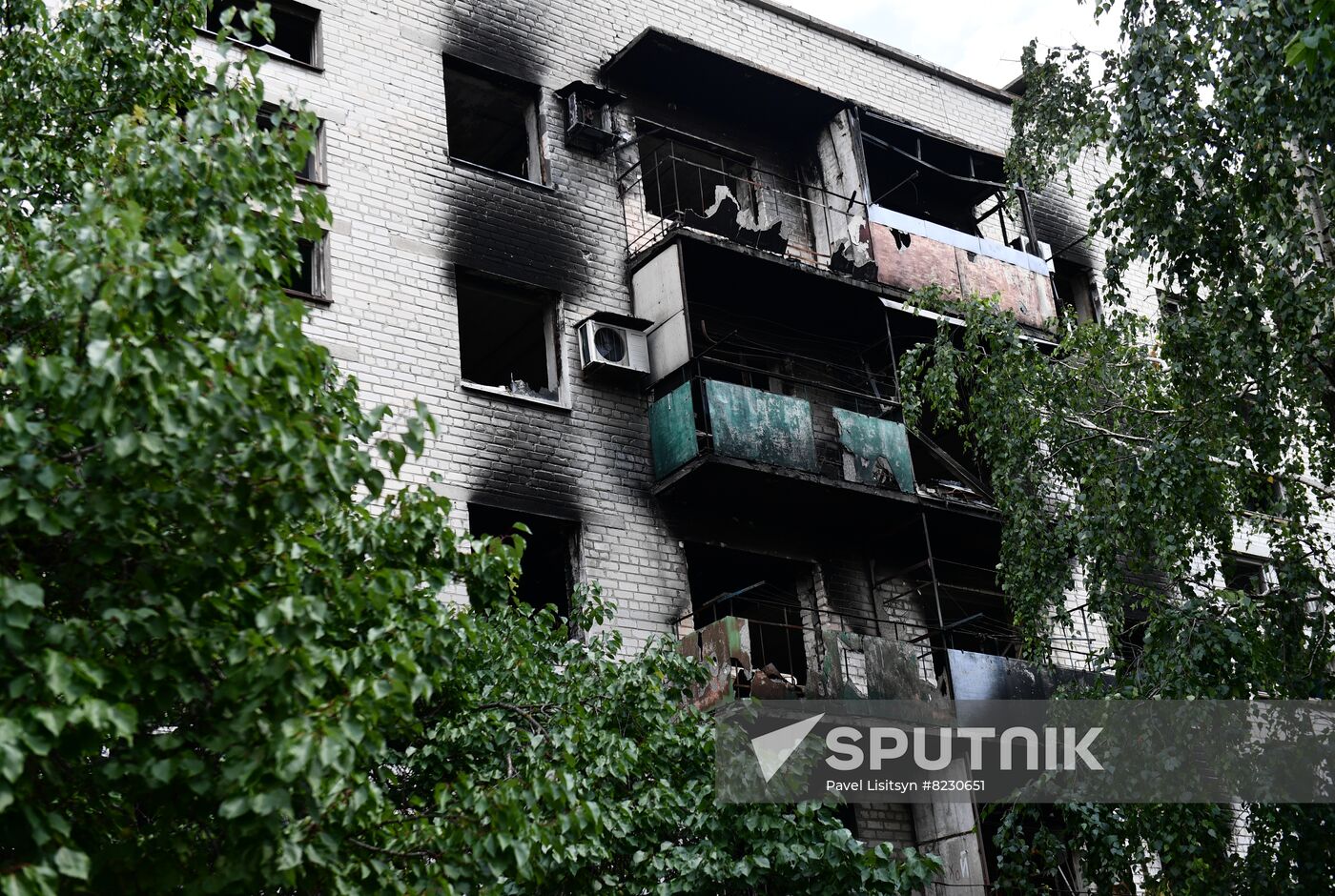 DPR Russia Ukraine Military Operation Daily