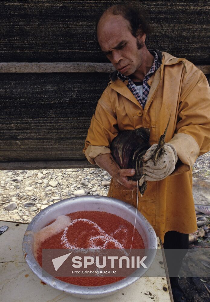 Fish farming in Magadan Region