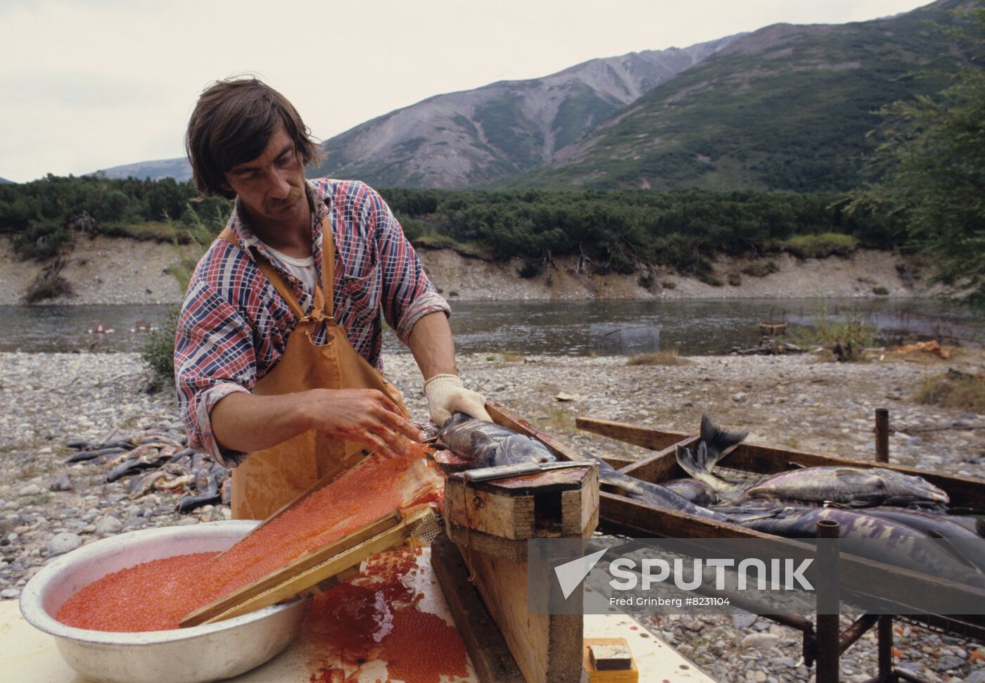 Fish farming in Magadan Region
