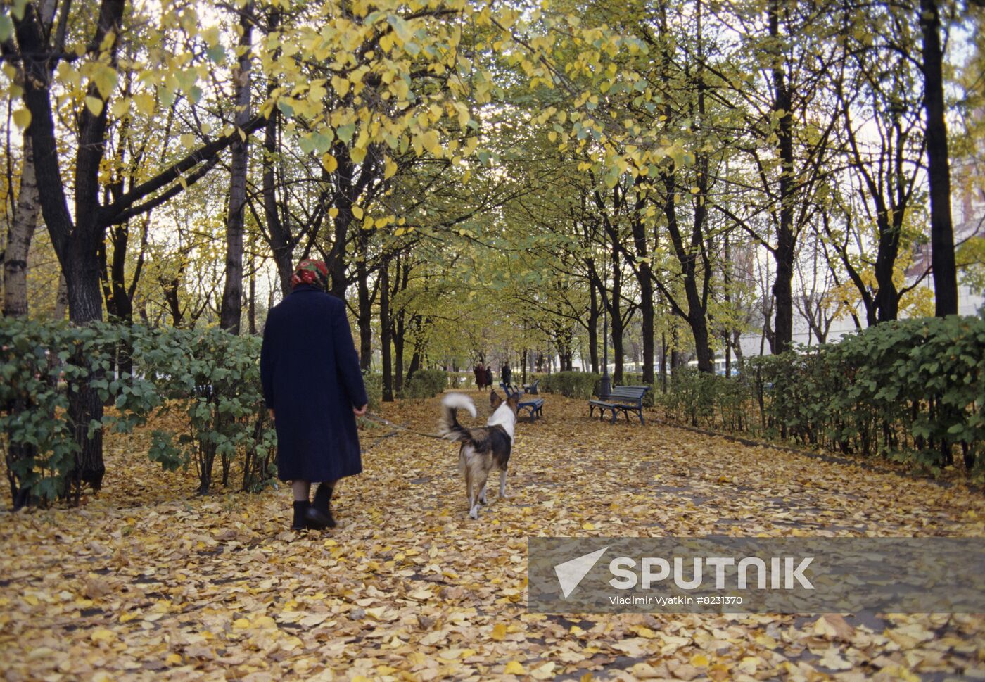Autumn in Moscow