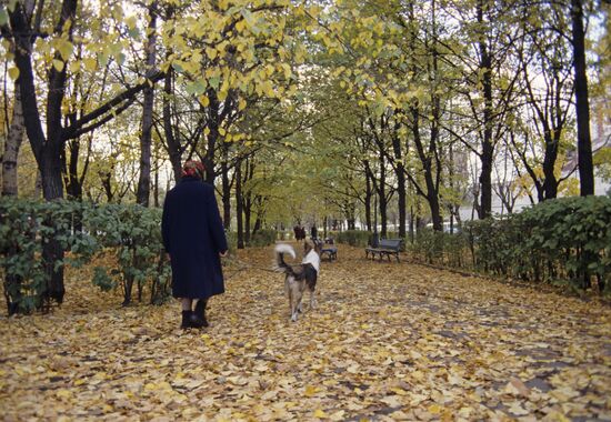 Autumn in Moscow