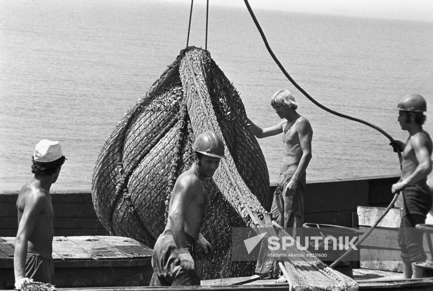 Commercial fishing in Primorye Territory