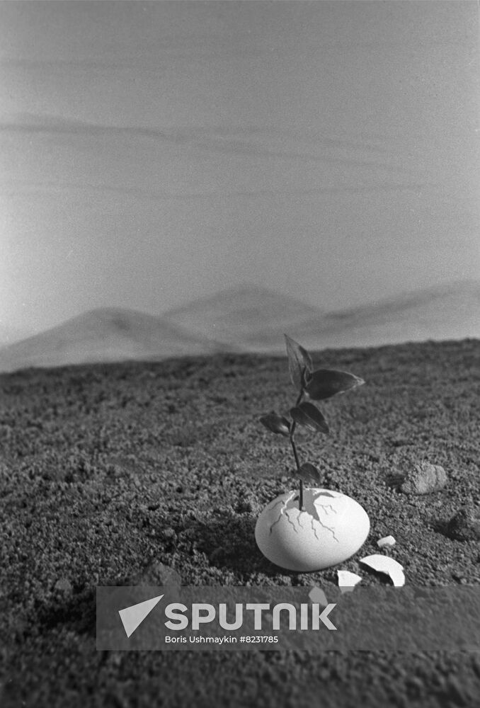 Institute for Soil Science and Photosynthesis, USSR Academy of Sciences