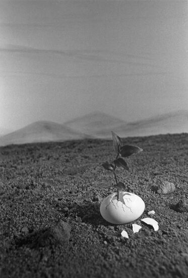 Institute for Soil Science and Photosynthesis, USSR Academy of Sciences