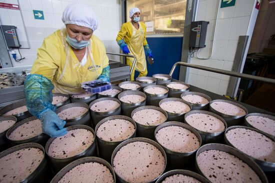 Russia Dairy Industry