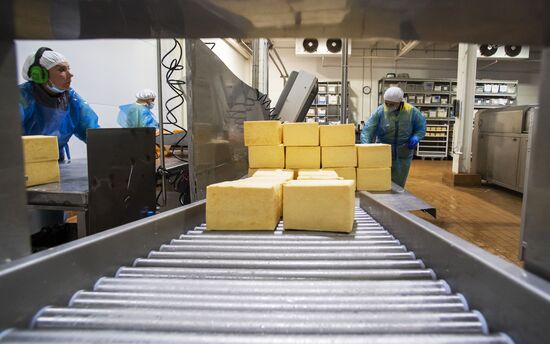 Russia Dairy Industry