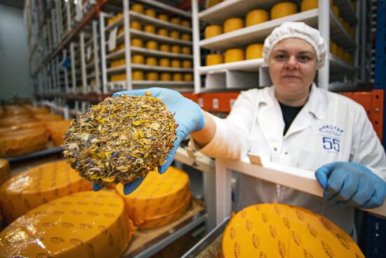 Russia Dairy Industry