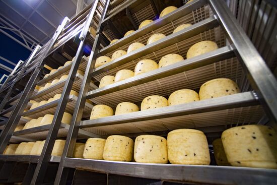 Russia Dairy Industry