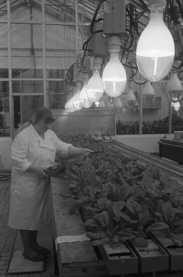 Scientific Center of Biological Research, Soviet Academy of Sciences