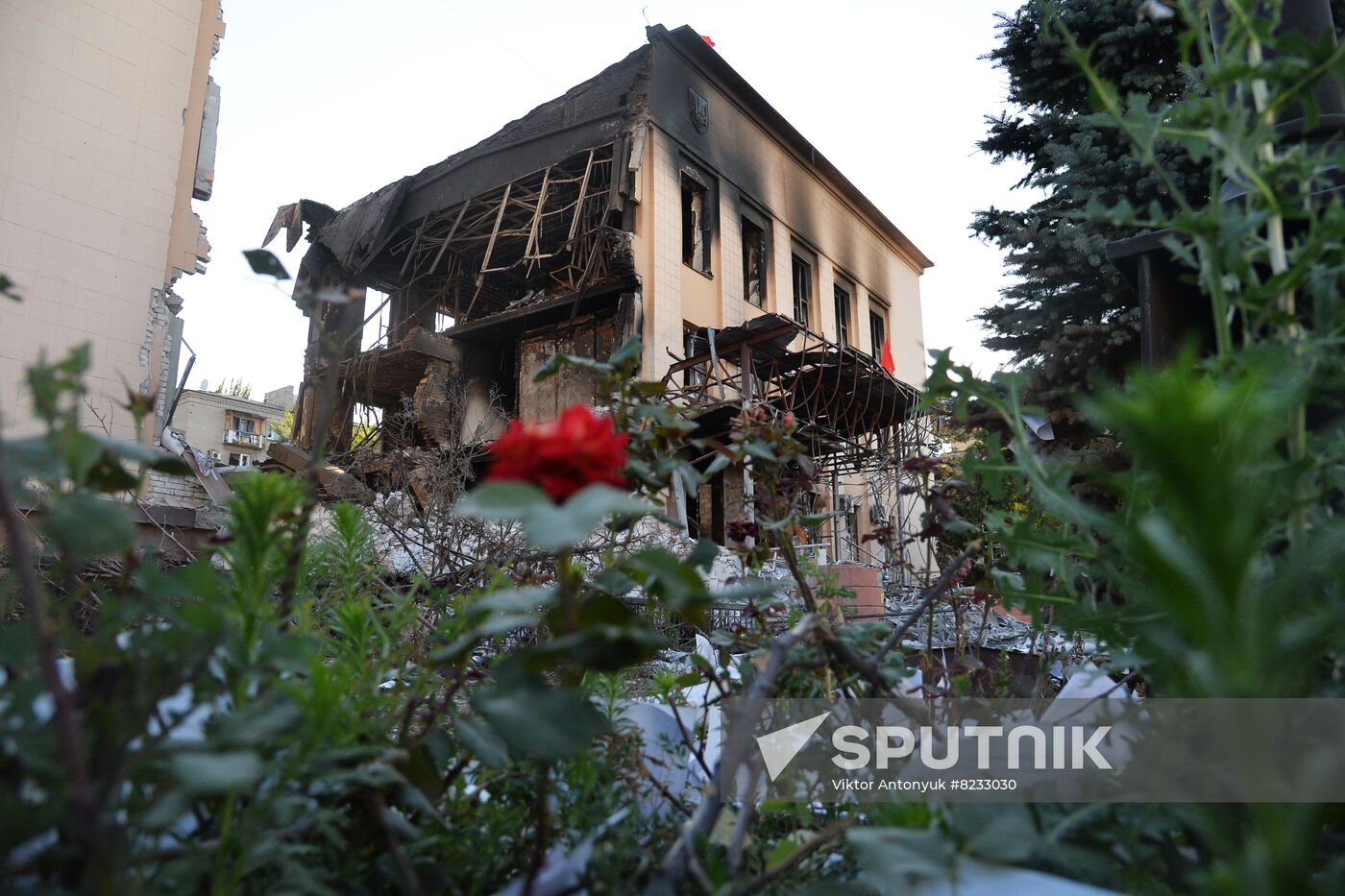 LPR Russia Ukraine Military Operation Daily