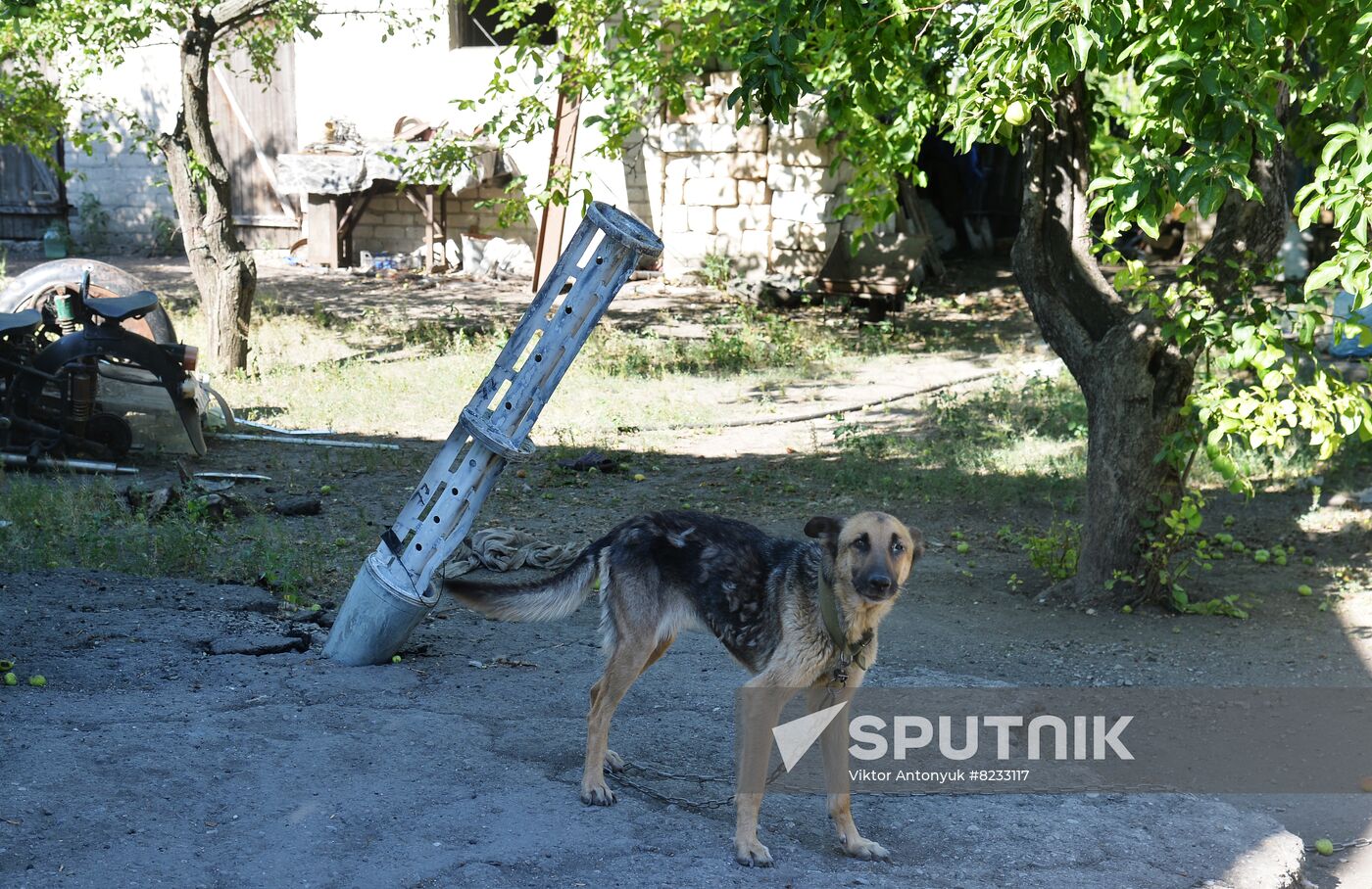 LPR Russia Ukraine Military Operation Daily