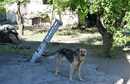 LPR Russia Ukraine Military Operation Daily