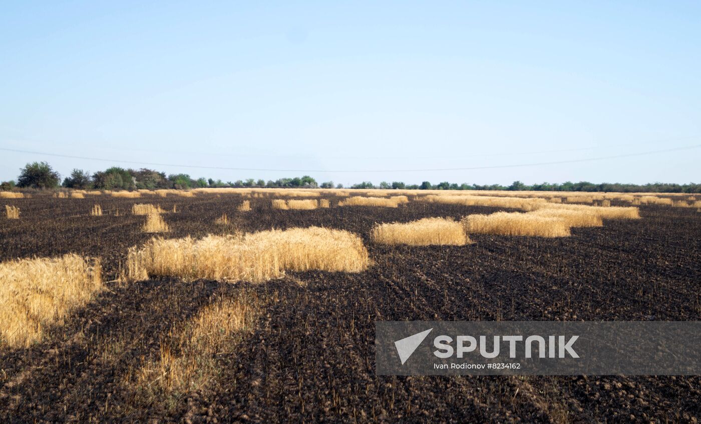 Ukraine Agriculture Wheat Harvesting