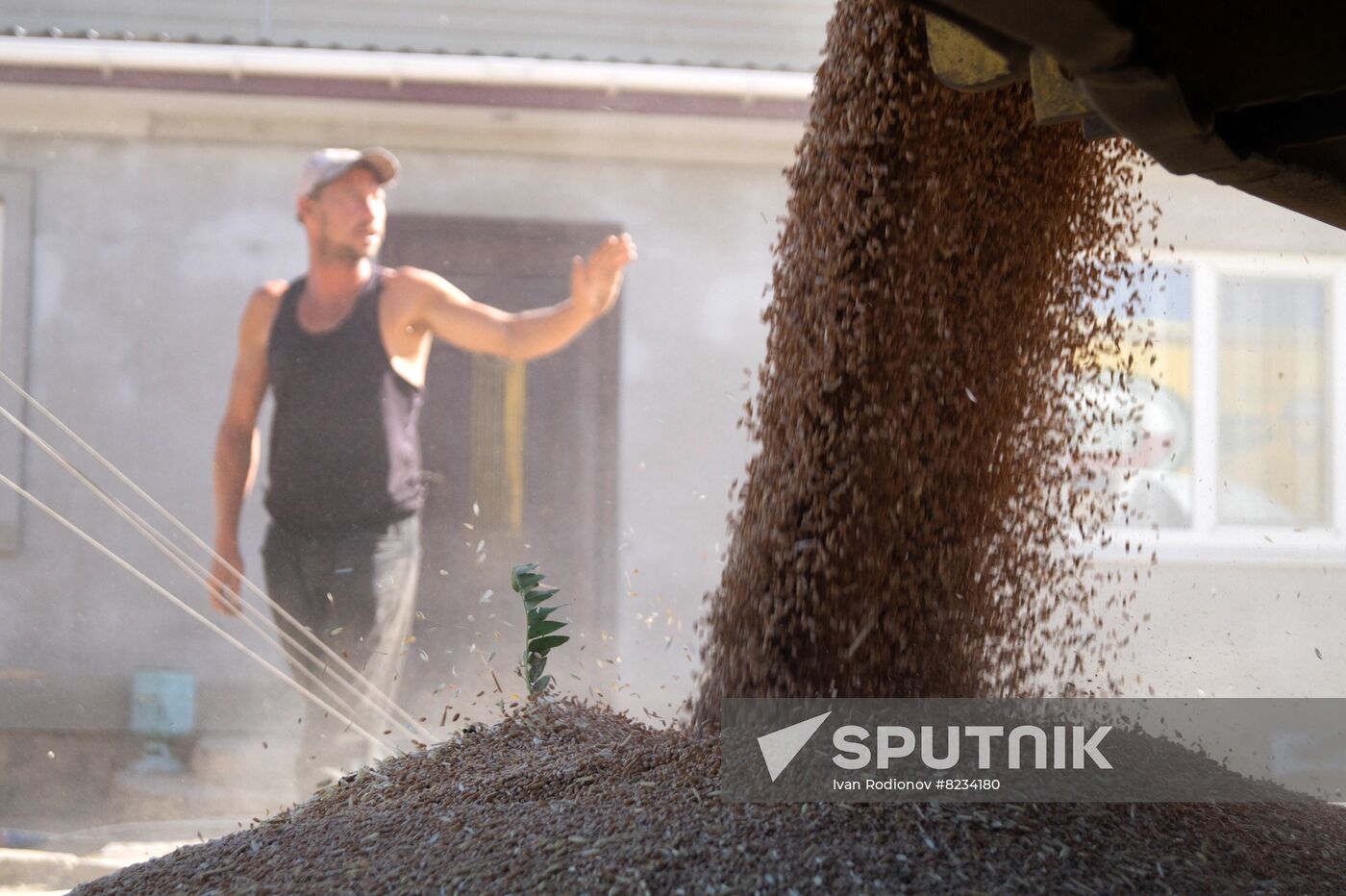 Ukraine Agriculture Wheat Harvesting