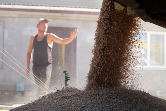 Ukraine Agriculture Wheat Harvesting