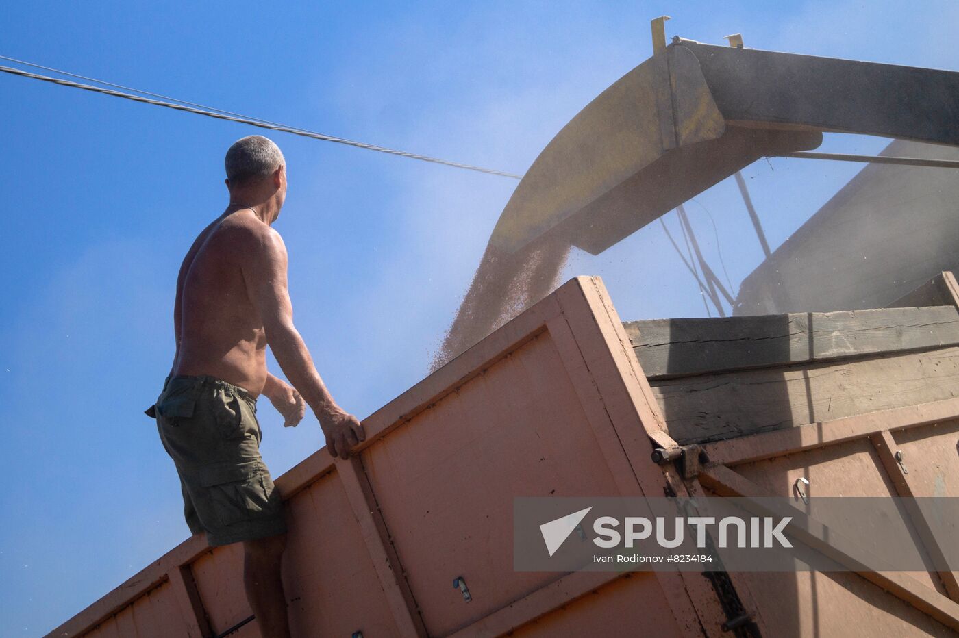 Ukraine Agriculture Wheat Harvesting