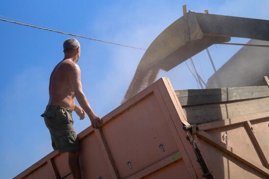 Ukraine Agriculture Wheat Harvesting