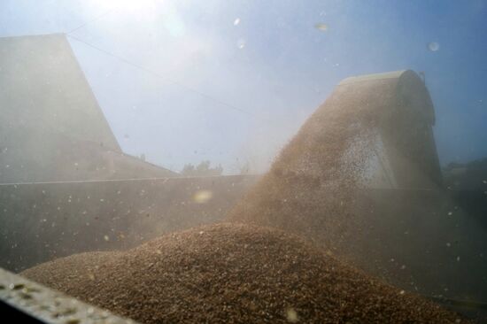 Ukraine Agriculture Wheat Harvesting