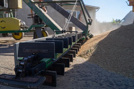 Ukraine Agriculture Wheat Harvesting