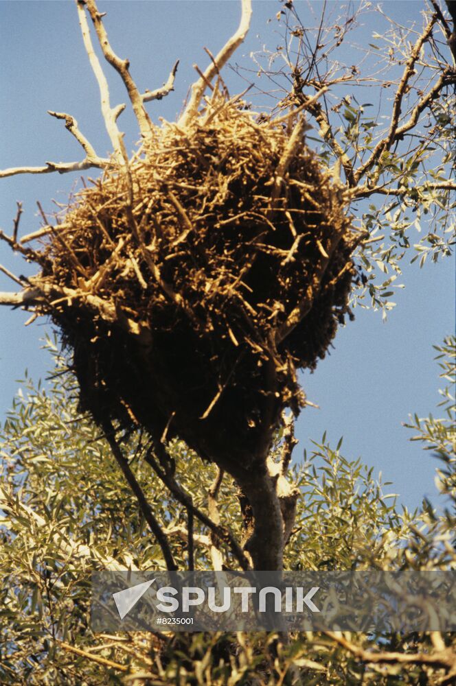 Astrakhan State Natural Biosphere Reserve