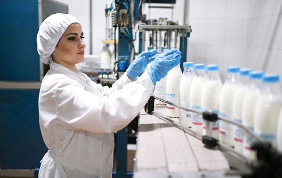 Russia Dairy Industry