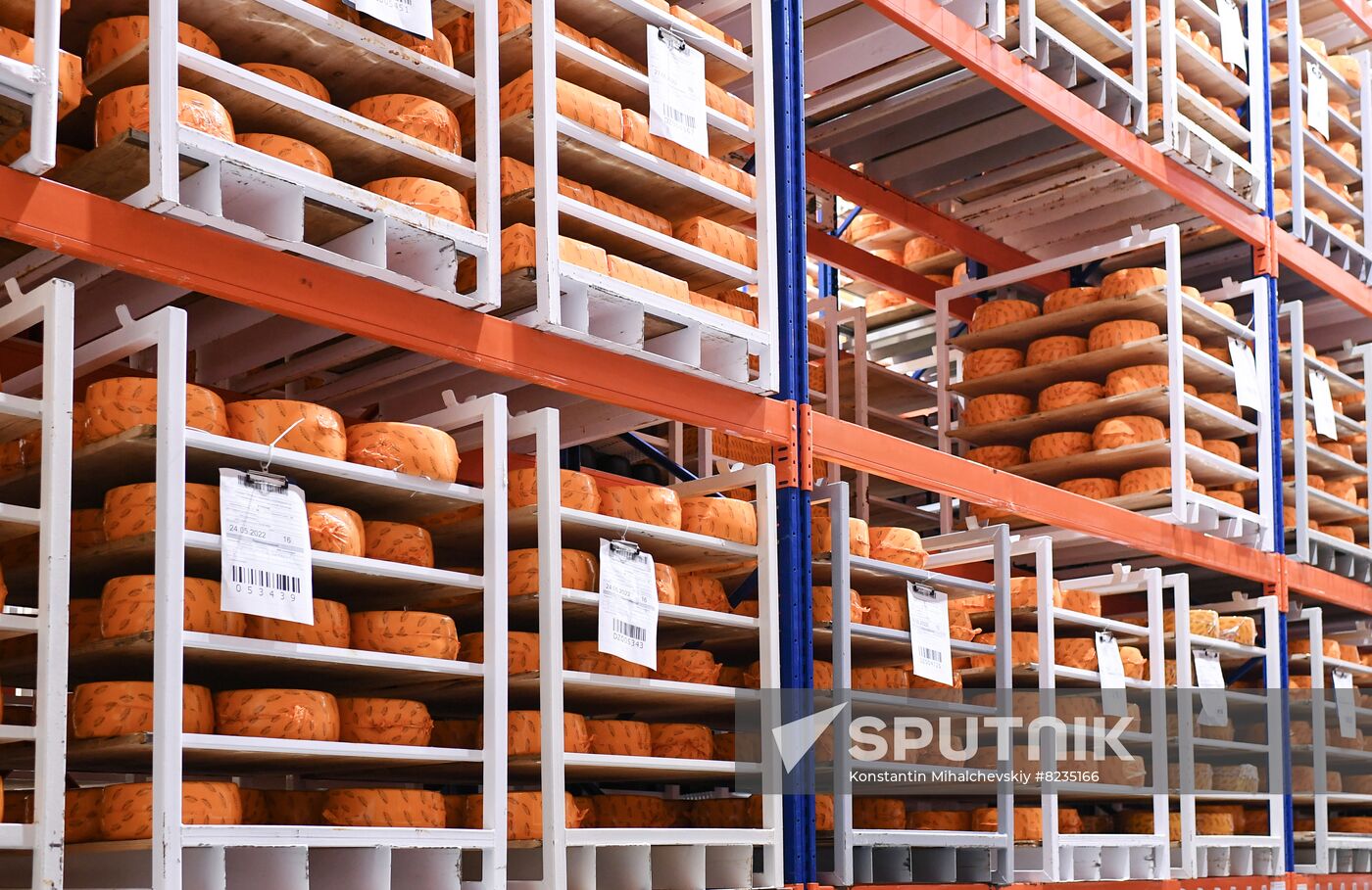 Russia Dairy Industry