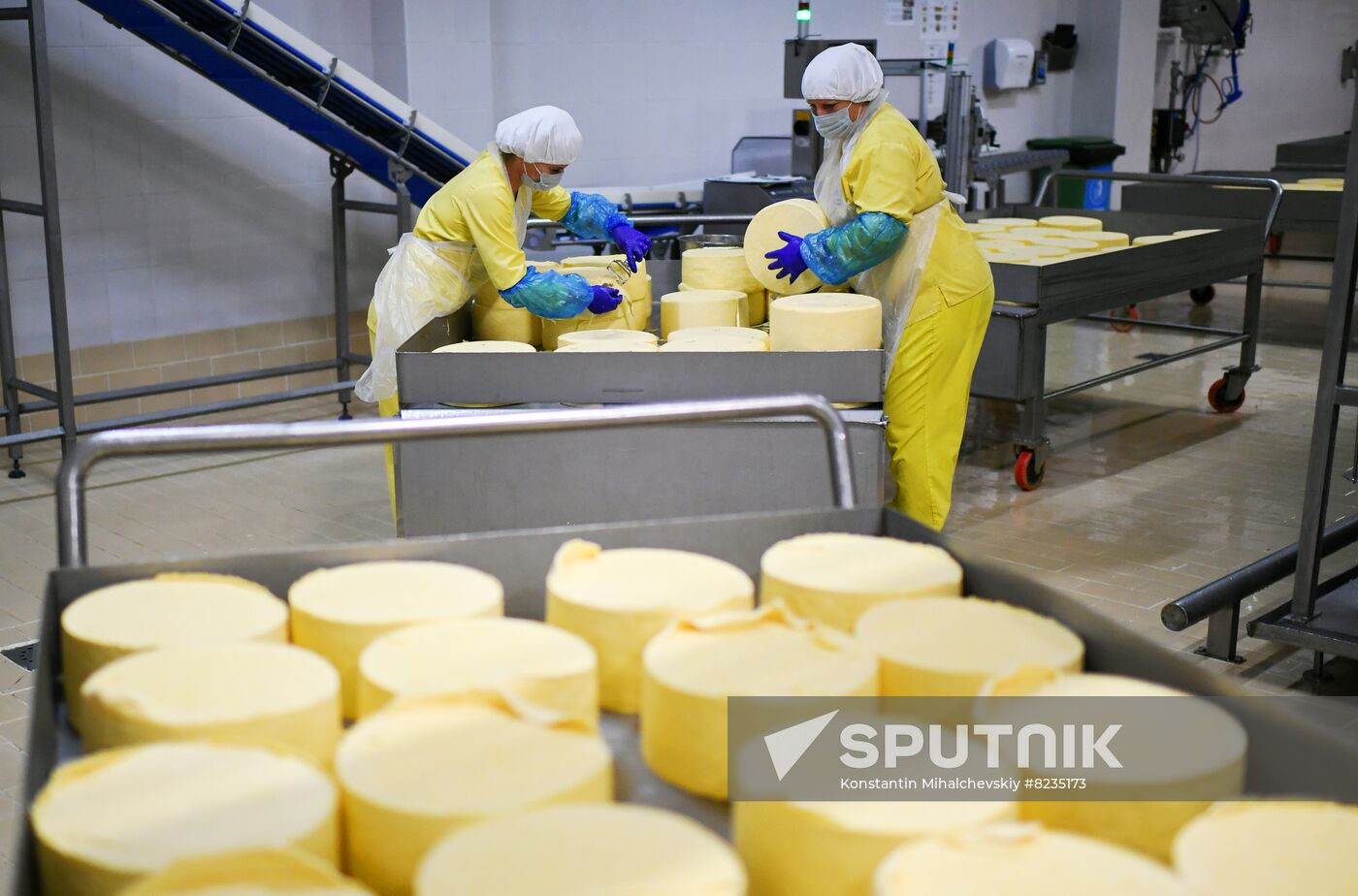 Russia Dairy Industry