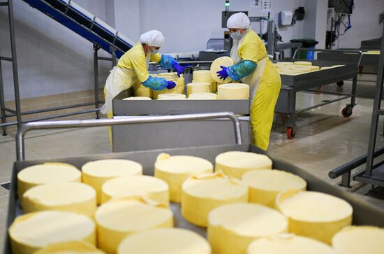 Russia Dairy Industry