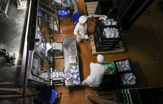 Russia Dairy Industry
