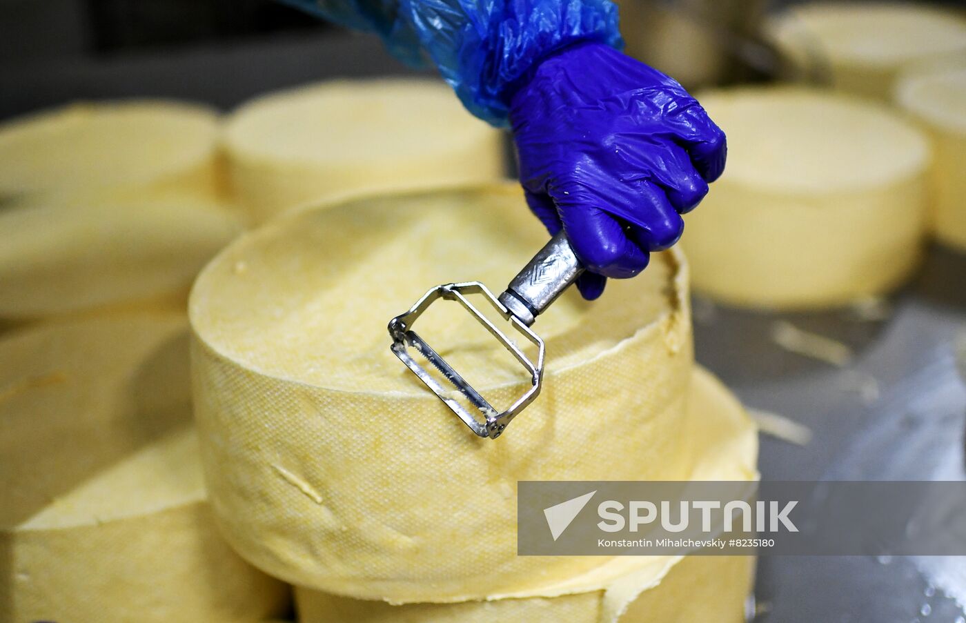 Russia Dairy Industry