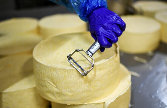Russia Dairy Industry